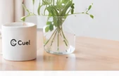 Cuelロゴ入りのマグカップと植物